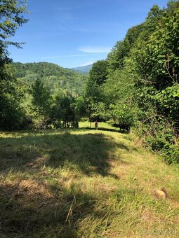 Záhrada na predaj - 3