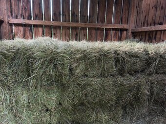 Balíkované seno - 3