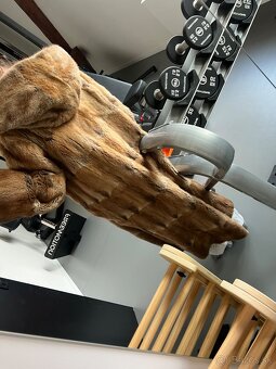 Kožuch Liska Bratislava - 3