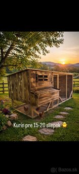 Kurin / kurnik - 3