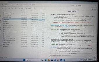Maturita SJL - 3