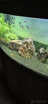 akvarium Juwel vision led 180 - 3