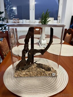 Dizajnové terárium, insektárium - 3