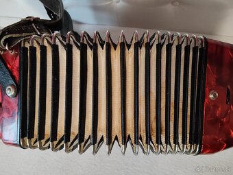 Predam akordeon Delicia Junior 60bas. - 3