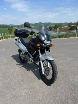 Suzuki xf 650 freewind - 3