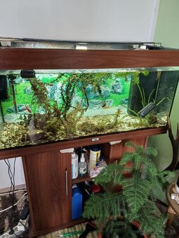 Akvárium 180l Juwel rio - 3