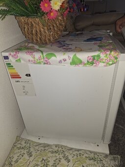 Mraznička Guzzanti - 3