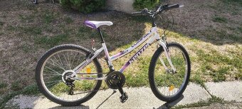 Dámsky bicykel - 3