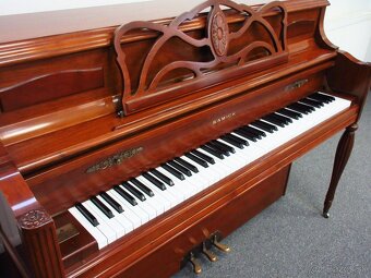 nádherné americké piano za Super cenu s All inclusive - 3