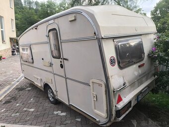 Castlton HL Rosella - 3