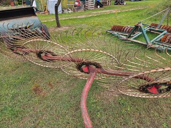 Slniečková hrabačka - 3