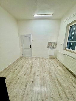 Priestor s umývadlom - 20 m2 - pri Auparku - 3