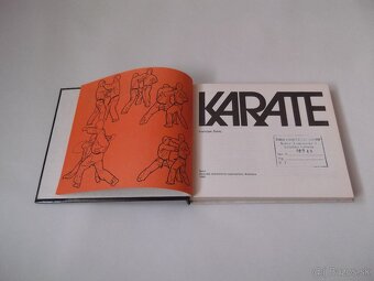 František Šebej-Karate - 3