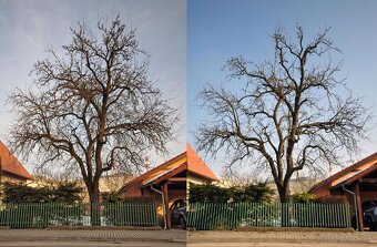 Ponúkam Vám záhradné práce - 3