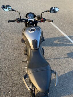 Triumph Trident 660 - 3