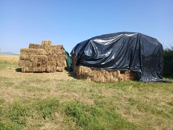 Predám malé balíky sena - 3