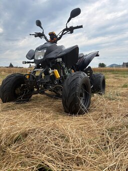 Bashan 200 - 3