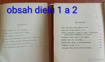 Tolstoj Anna Karenina a iné, 135 rokov - 3