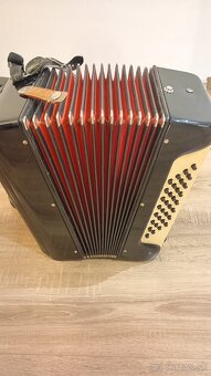 Akordeón,harmonika - 3