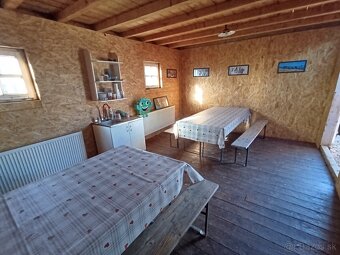 Ustajnenie koní. - 3