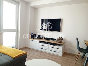 Priestranný apartmán pri Zemplínskej šírave - 3