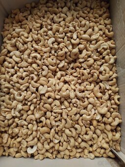 VLAŠSKÉ ORECHY 11€ KG - 3