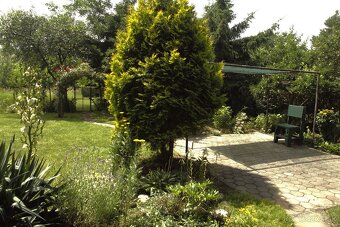 8 árový pozemok s chatou. - 3