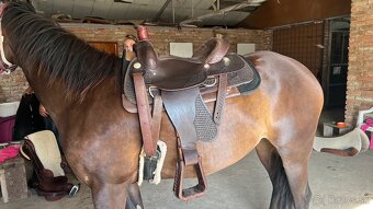 Westernove sedlo Dakota Roper 16’’ - 3