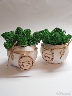 Kvetinač s prírodným machom - 3
