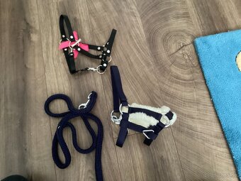 Hobby horse Bren larden - 3