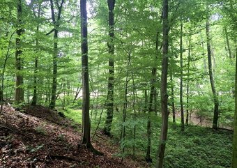 Predám pozemok v Antonstáli - 3