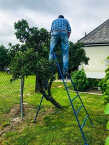 Profesionálny ovocinársky rebrík - trojnohý - 3