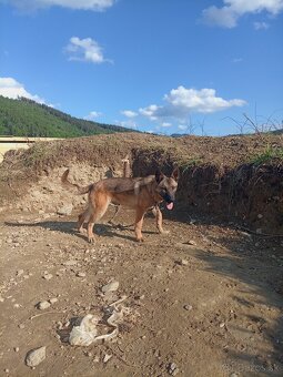 Dohoda - 3