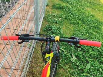 Kellys spider 30 (2020) - 3