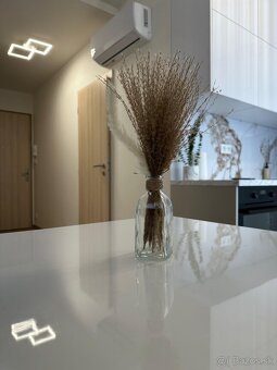 Na prenájom apartmán krátkodobo/dlhodobo so záhradou - 3