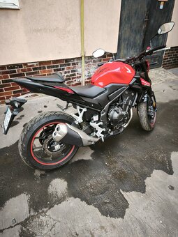 Honda 500 Hornet 2024 - 3