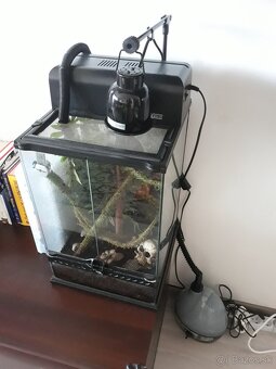 Terarium - 3