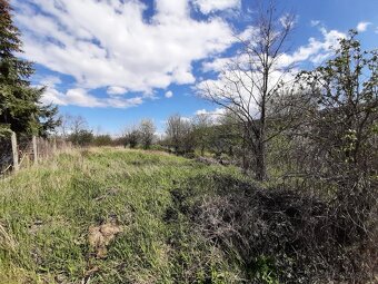 Predaj - stavebný pozemok Tekovské Lužany, okres Levice - 3