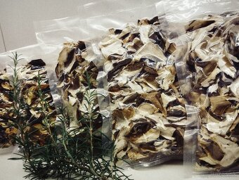 Sušené  lesné  hriby - 3