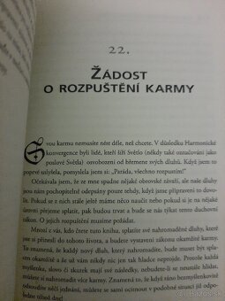 Diana Cooper Svĕtlo nanebevzatých mistrů - 3