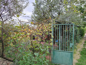 HĽADÁTE ZÁHRADU NA RELAX A PESTOVANIE OVOCIA A ZELENINY ? PO - 3