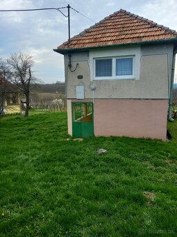 Viničný Hajlok - 3