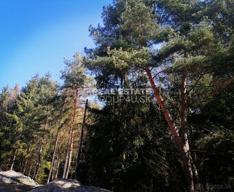 VÝNIMOČNÝ POZEMOK S PANORAMATICKÝM VÝHĽADOM A STAVEBNÝM POVO - 3