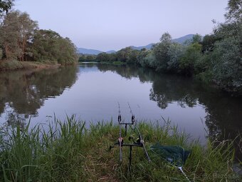 IMPALA CARP V2 - 3