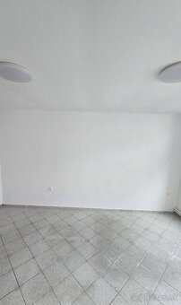 Prenájom obchodného priestoru - 3