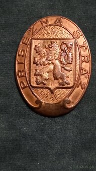 Odznak přísežná stráž - 3