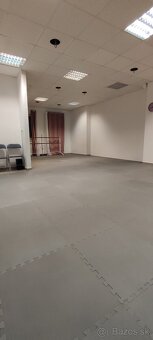 PRIESTOR 55 m2 na obchod, služby, Sereď centrum - 3