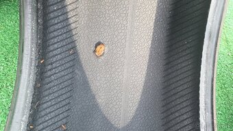 Letné pneumatiky Continental PremiumContact 6 - 3