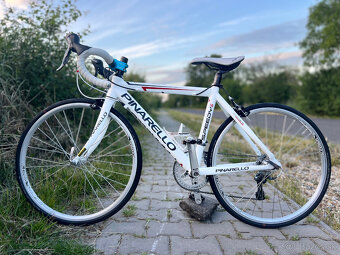 Pinarello Speedy Most 24 - Detský Cestný Bicykel (Xxxs-Xxs) - 3