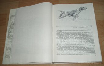 Loveckou stezkou - 3